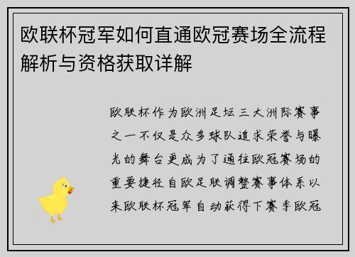 欧联杯冠军如何直通欧冠赛场全流程解析与资格获取详解
