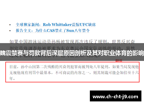 魏震禁赛与罚款背后深层原因剖析及其对职业体育的影响